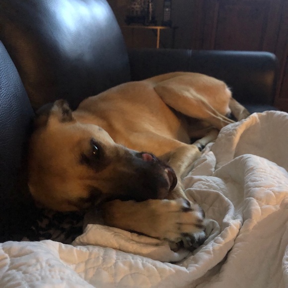 Meet your Posher, Patrice - Picture 1 of 1